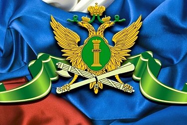 1 ноября – День судебного пристава